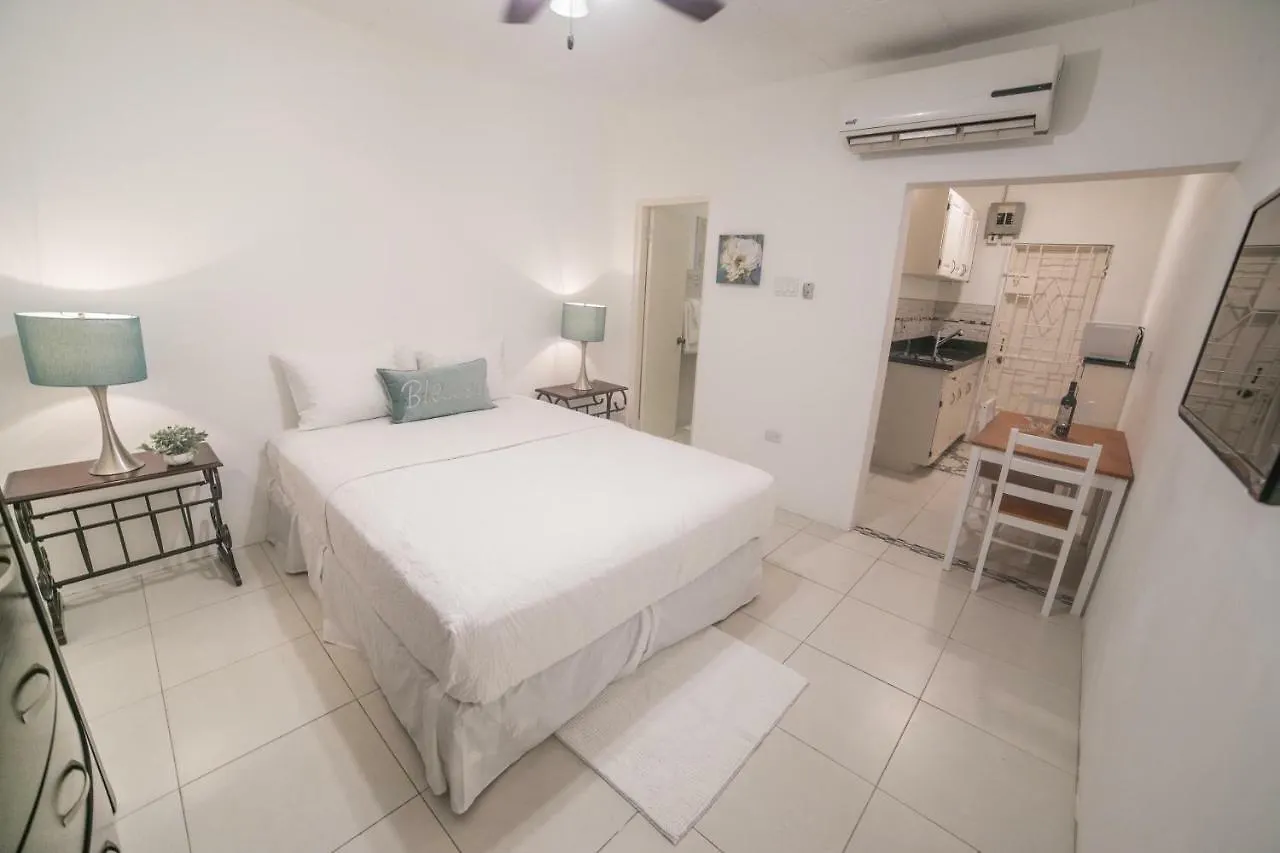 New Kingston Luxury Apartment Chelsea 0*,